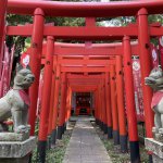 お寺と神社の違い